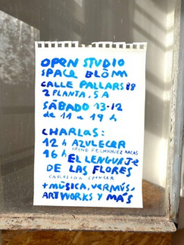 IRENE FERNÁNDEZ ARCAS